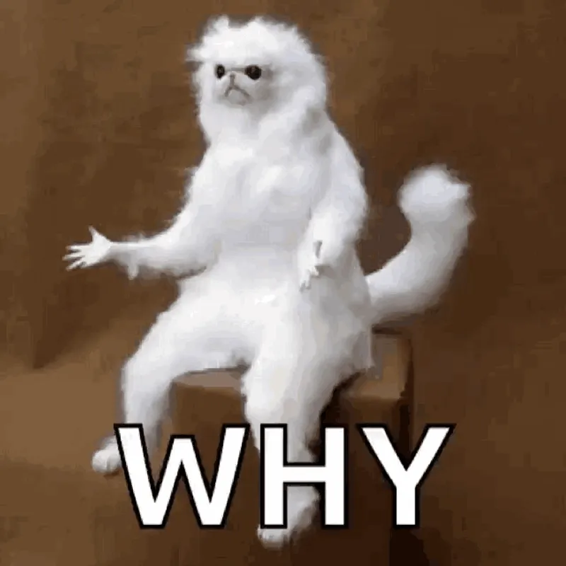 Asking why gif