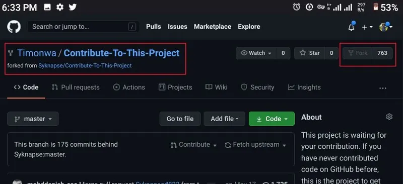 Screenshot showing the mobile browser displaying the newly forked repository
