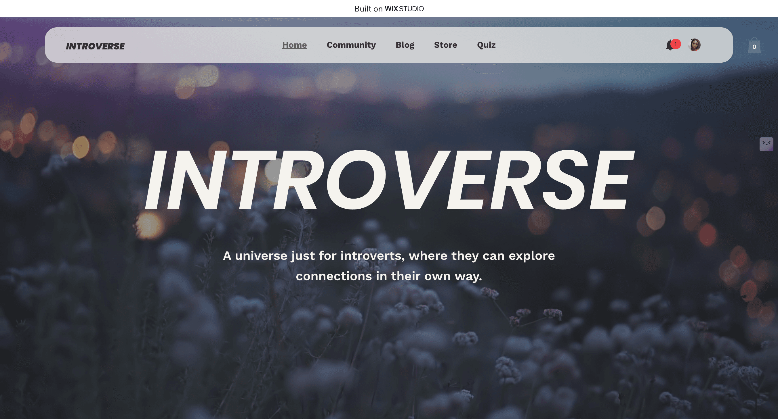 Introverse