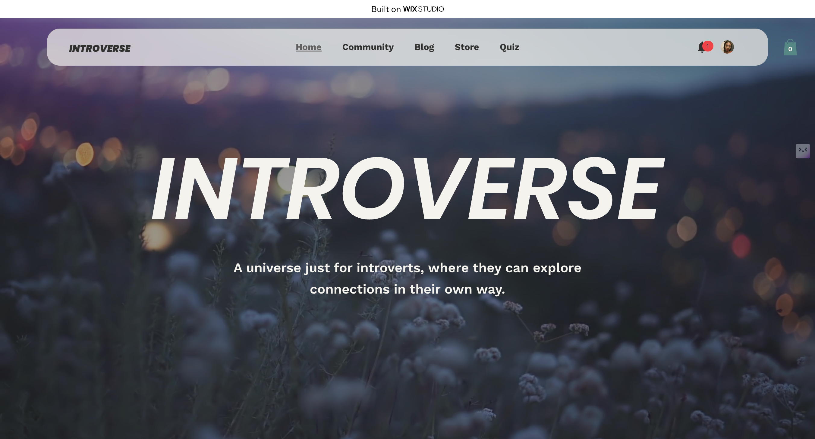 Introverse